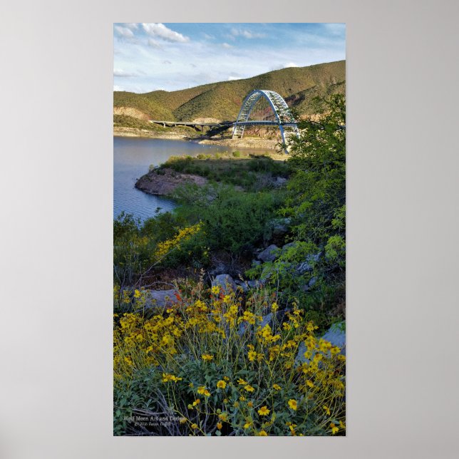 Affiche Roosevelt Lake Bridge (Devant)