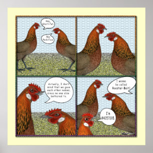 Affiche Rooster Bait