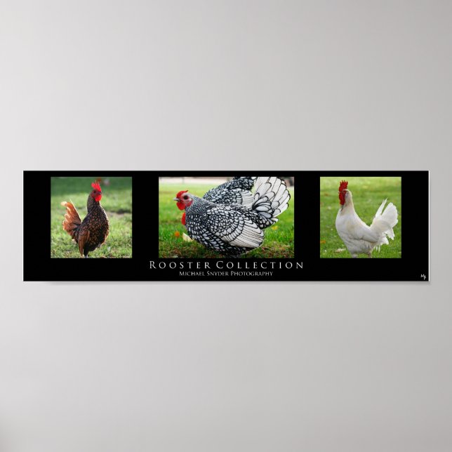 Affiche "Rooster Collection", Black (Devant)