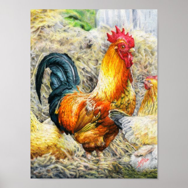 Affiche Rooster Fière (Devant)