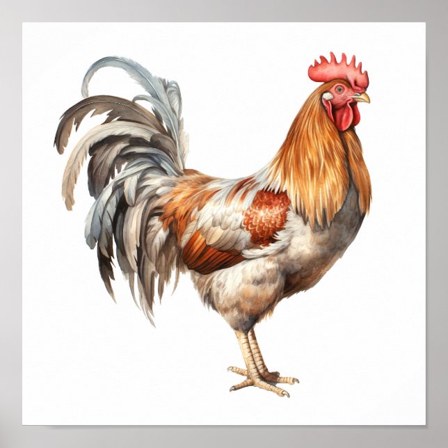 Affiche Rooster Neutre Couleurs Aquarelle Peinture (Devant)