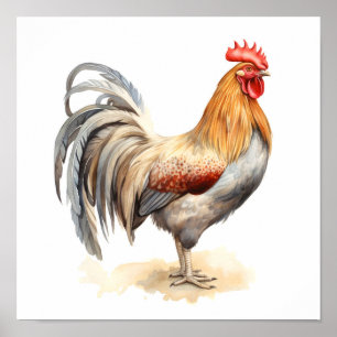 Affiche Rooster Neutre Couleurs Aquarelle Peinture