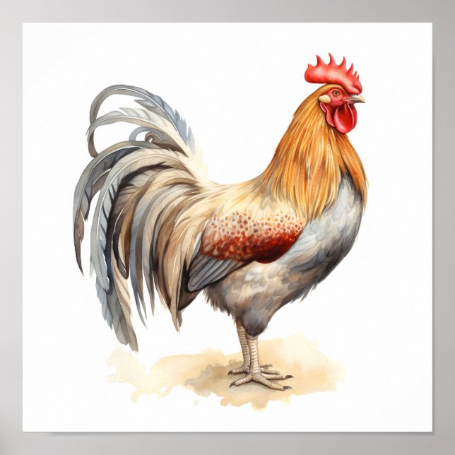 Affiche Rooster Neutre Couleurs Aquarelle Peinture (Devant)
