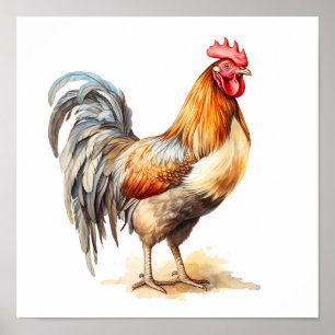 Affiche Rooster Neutre Couleurs Aquarelle Peinture