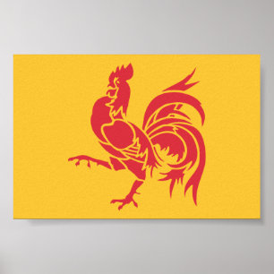 Affiche Rooster rouge (Drapeau de Wallonie)