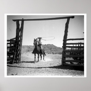 Affiche Roping de cowboy