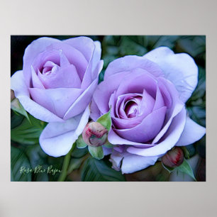 Affiche Rosa Blue Bajou [Archiver papier lourd]