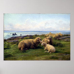 Affiche Rosa Bonheur Mouton au bord de la mer