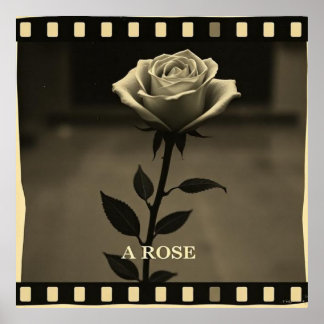 Affiche Rosa en blanco y negro estilo cine antiguo vintage
