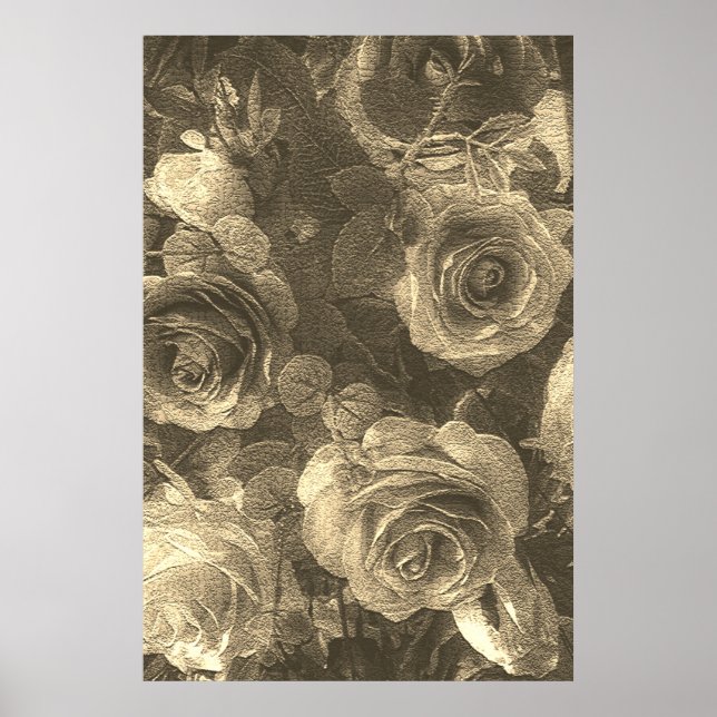 Affiche Rose (Devant)