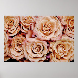 Affiche Rose