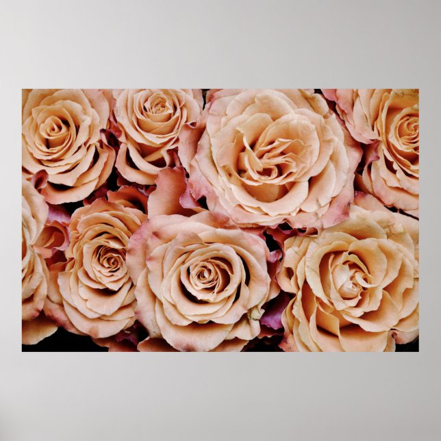 Affiche Rose (Devant)