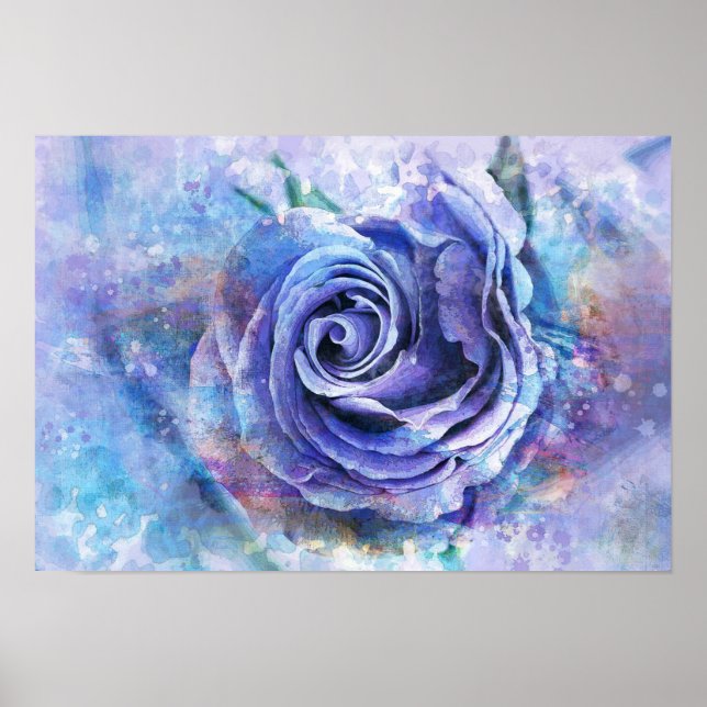 Affiche Rose (Devant)