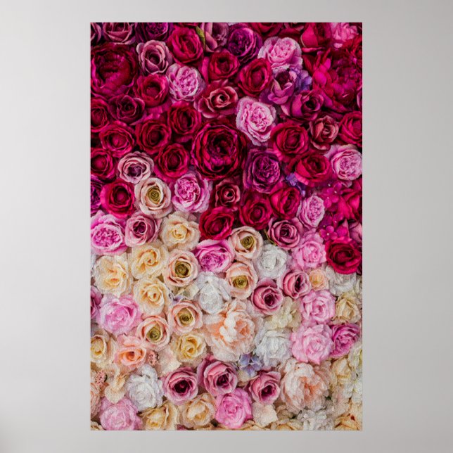 Affiche Rose (Devant)