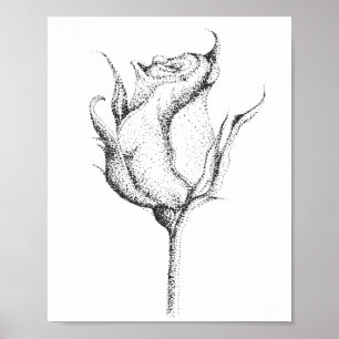 AFFICHE ROSE