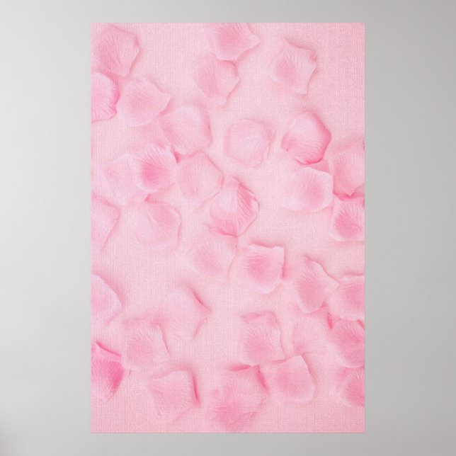 Affiche Rose (Devant)