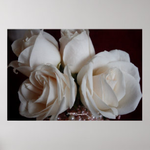 Affiche Rose 15