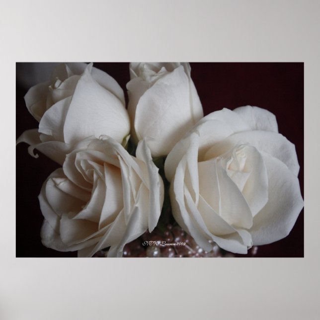 Affiche Rose 15 (Devant)