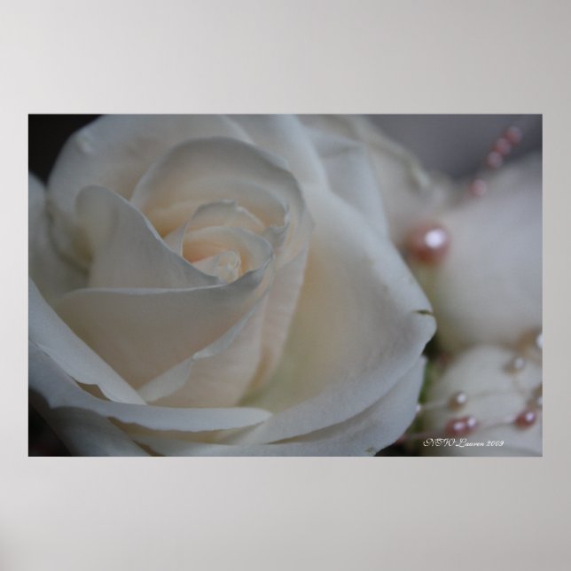 AFFICHE ROSE 6 (Devant)