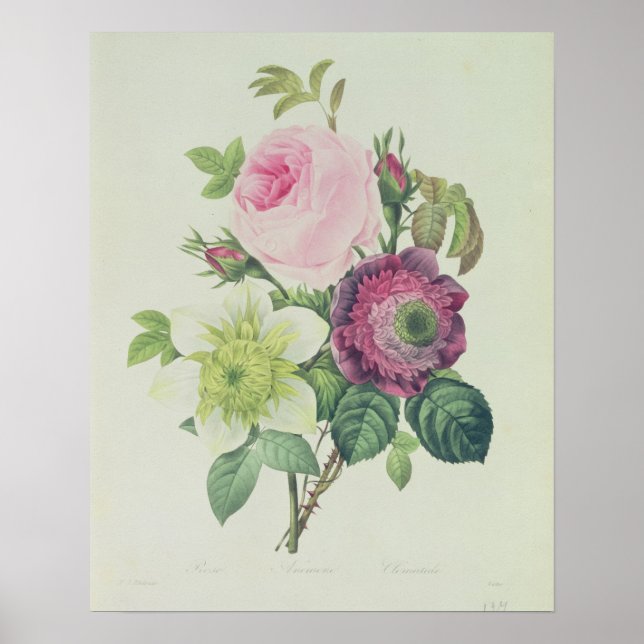 Affiche Rose, anémone et clématide (Devant)