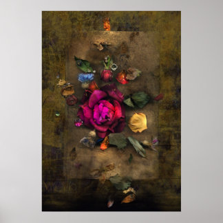 Affiche Rose antique