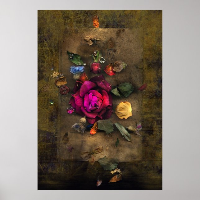 Affiche Rose antique (Devant)