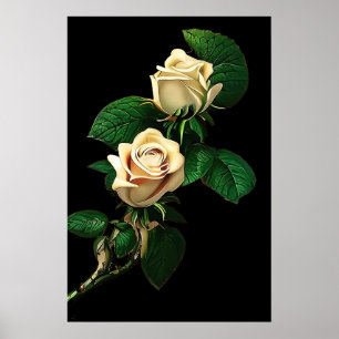 Affiche Rose blanche