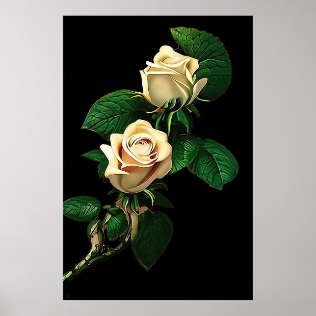 Affiche Rose blanche (Devant)