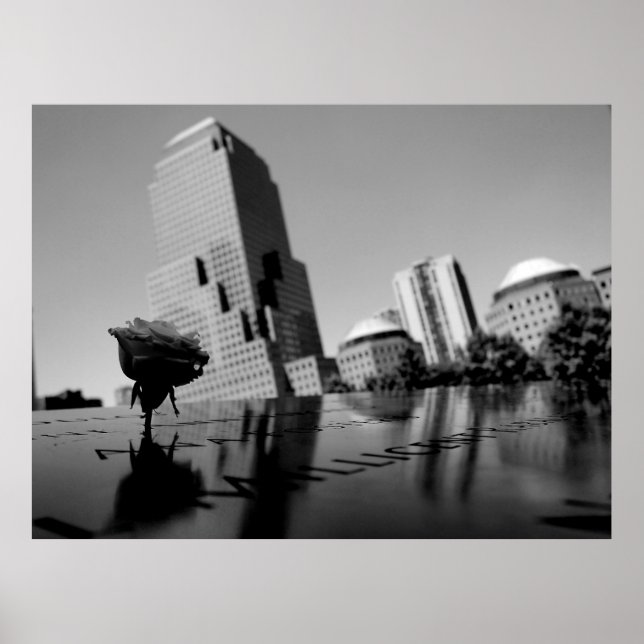 Affiche Rose blanche du souvenir (Devant)