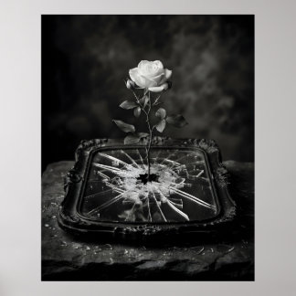 Affiche Rose blanche poussant d'un miroir fissuré