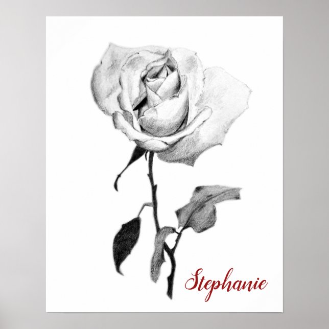 Affiche Rose blanche simple et élégante au crayon noir (Devant)