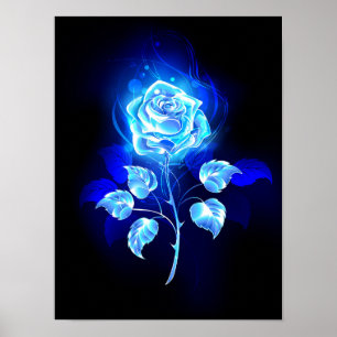 Affiche Rose bleu brûlant