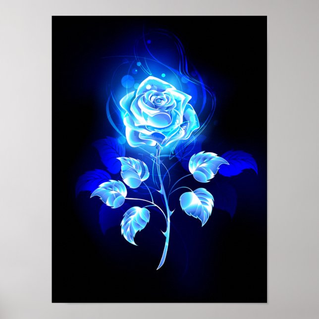 Affiche Rose bleu brûlant (Devant)