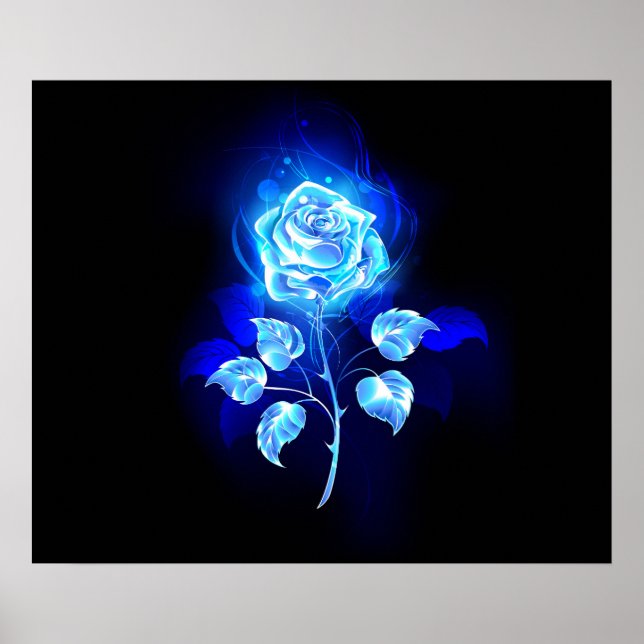 Affiche Rose bleu brûlant (Devant)