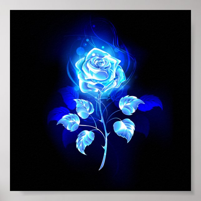 Affiche Rose bleu brûlant (Devant)
