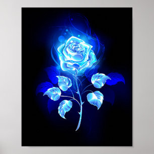 Affiche Rose bleu brûlant