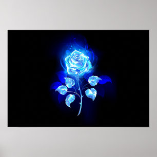 Affiche Rose bleu brûlant