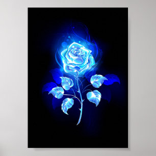 Affiche Rose bleu brûlant