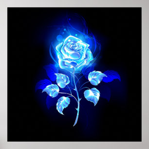 Affiche Rose bleu brûlant