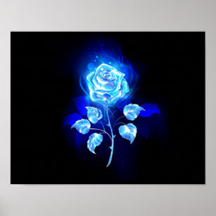 Affiche Rose bleu brûlant