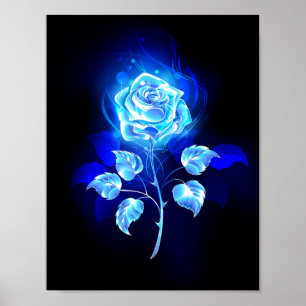 Affiche Rose bleu brûlant