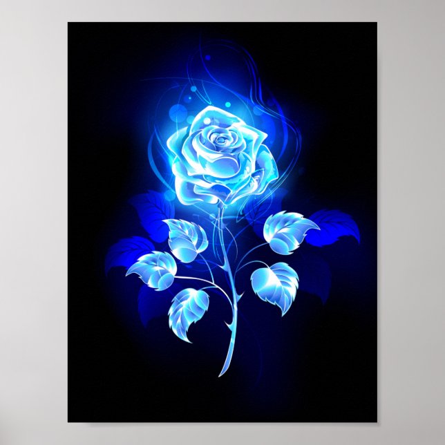 Affiche Rose bleu brûlant (Devant)