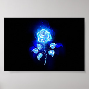 Affiche Rose bleu brûlant