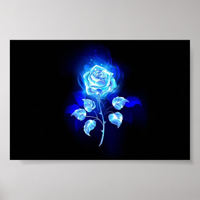 Affiche Rose bleu brûlant (Devant)