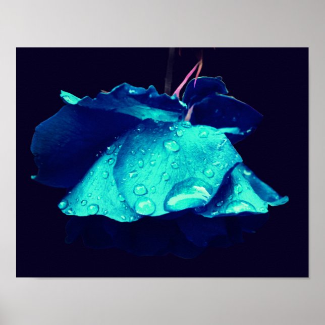 Affiche Rose bleu Lingering Raindrops Abstrait Flower Art (Devant)