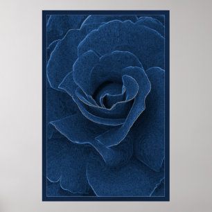 Affiche Rose bleu velours