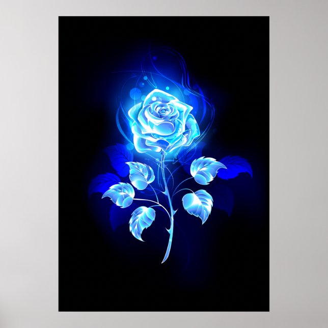 Affiche Rose bleue brûlante (Devant)