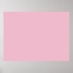 Affiche Rose cameo (uni)