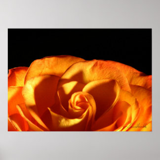 Affiche Rose coucher de soleil