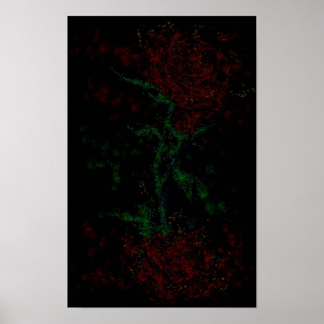 Affiche Rose dans le noir (Devant)